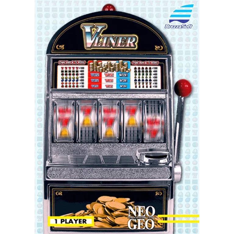Jaquette de V Liner sur Neo Geo