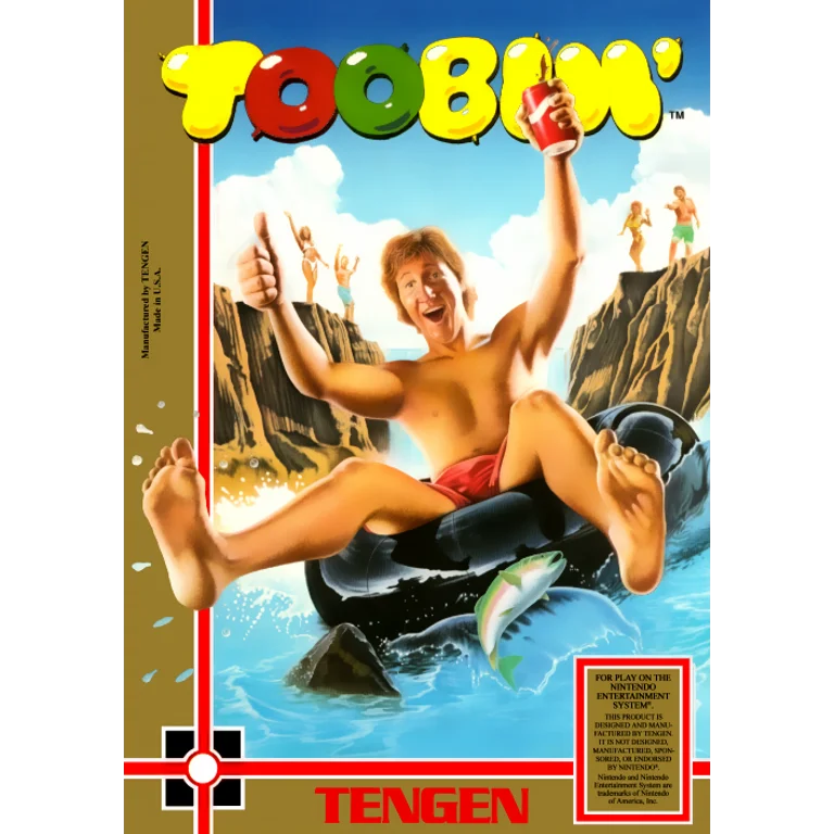 Jaquette de Toobin 1 sur Nes