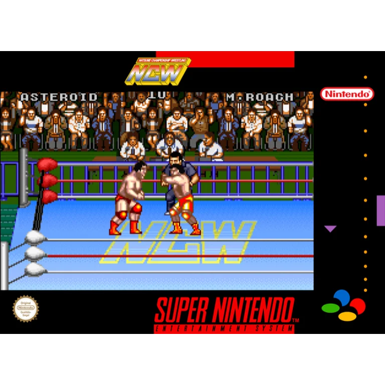 Jaquette de Natsume Championship Wrestling sur Snes