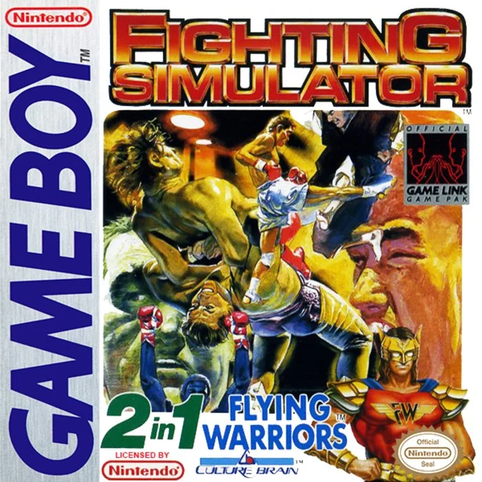 Jaquette de Fighting Simulator 2 in 1 Flying Warriors sur Game Boy