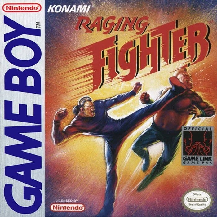 Jaquette de Raging Fighter sur Game Boy
